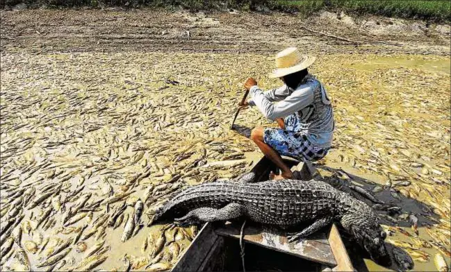  ?? Reuters / Marcio Silva ??