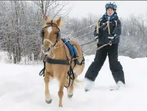  ?? PETER MCCABE ?? Skijoring made just a single appearance as a sport at the Winter Olympics, but it hasn’t entirely disappeare­d.