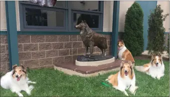  ?? SUBMITTED PHOTO ?? Lassie at the Bucks County Free Library/Doylestown which is on loan from Michener Museum.