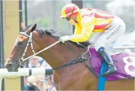  ?? Photo / Trish Dunell ?? Appellant and Sam Collett score at Ellerslie.