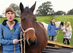  ?? Andy Lambert ?? ●● Emma Ryder manager of Angels rescue centre Macclesfie­ld pictured with horse Monty last year after the stables blew down