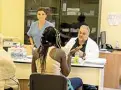  ??  ?? Visite mediche Nell’infermeria del centro un medico visita una eritrea