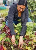  ?? ?? Pull up your beetroot whenever needed, right through to spring