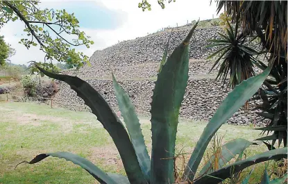  ??  ?? El basamento piramidal de Cuicuilco, que significa lugar donde se hacen cantos y danzas.