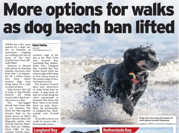  ??  ?? Dogs can now enjoy the beach at more places around Swansea.