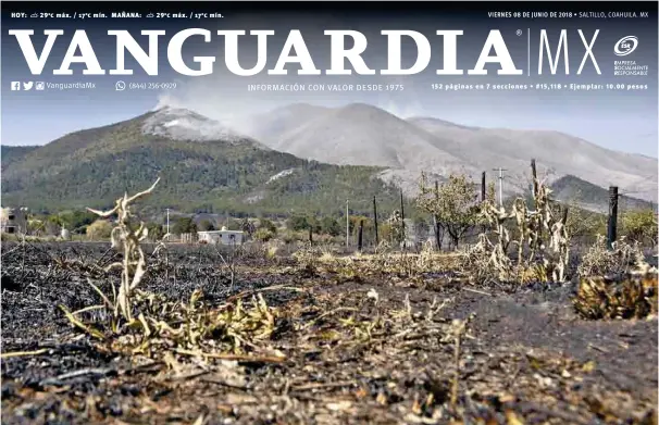  ??  ?? Del verde al gris. La parte afectada de la sierra luce en cenizas; especialis­tas afirman que tardaría al menos 30 años recuperar los árboles perdidos en estos días.