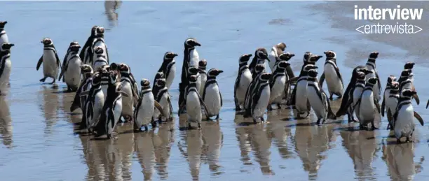  ?? GUILLERMO HARRIS ?? Punta Tombo, Argentina.