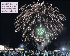  ??  ?? Cardiff’s Sparks in the Park at Bute Park takes place on November 4