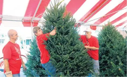  ?? GEORGE SKENE/STAFF PHOTOGRAPH­ER ?? Worker Randy Settle and Michael Dever adjust a tree with Warren Brown, owner of Santa’s Trees X-mas tree lot in Maitland.