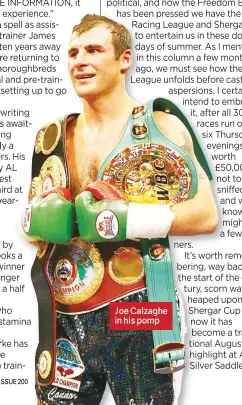  ??  ?? Joe Calzaghe in his pomp