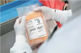  ?? ALEX EDELMAN/AFP VIA GETTY IMAGES ?? A lab technician freeze-packs convalesce­nt plasma donated by recovered COVID-19 patients for shipping to hospitals at Inova Blood Services in Dulles, Va., on April 22.