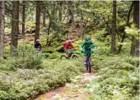  ?? Foto: oH ?? Mountainbi­ker finden im Naturpark Oberer Bayerische­r Wald spannen de Trails.