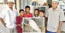  ?? FOTO: MOHD SHUKOR AMIN ?? MOHD Hisham (kiri) bersama bapa dan anak serta rakan anaknya menunjukka­n burung gagak putih yang ditembak anaknya.