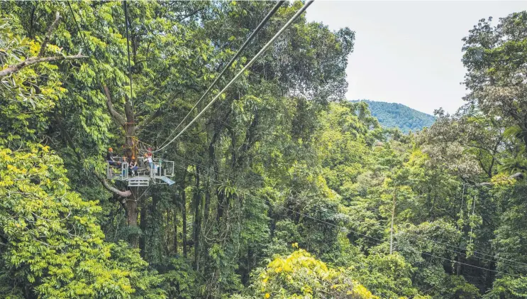 ??  ?? Jungle Surfing Canopy Tours at Cape Tribulatio­n is on the market, with a plan to find an experience­d operator who can restart the tourism business and return it to full strength.