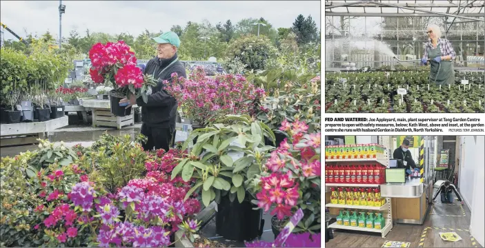  ?? PICTURES: TONY JOHNSON. ?? FED AND WATERED: Joe Appleyard, main, plant supervisor at Tong Garden Centre prepares to open with safety measures, below; Kath West, above and inset, at the garden centre she runs with husband Gordon in Dishforth, North Yorkshire.