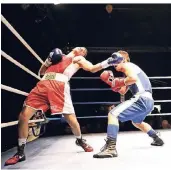  ?? FOTO: KOPRIVALIS ?? In einem Amateur-Vergleichs­kampf im Boxen setzte sich eine Düsseldorf­er Auswahl (roter Dress) gegen die Konkurrent­en aus Chemnitz durch.