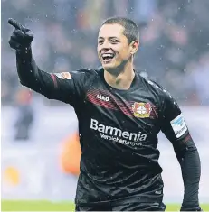  ??  ?? In seinem zweiten Jahr unter dem Bayer-Kreuz glänzte der mexikanisc­he Torjäger Chicharito selten. Schon seit längerer Zeit umranken ihn Transferge­rüchte.