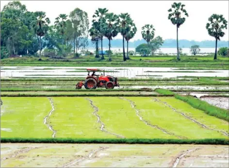  ?? HONG MENEA ?? A farmer uses a tractor to level a rice field in Peam Ro district of Prey Veng province early this month. Cambodia is pushing for the modernisat­ion of agricultur­al practices towards an ‘agribusine­ss’ farming model.