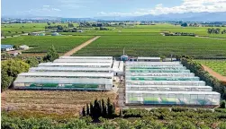  ??  ?? all running at optimum levels, and the owners are ready to hand over to a new owner to pursue.”
Thymebank’s hydroponic spray-free lettuce and herb operation consists of 5500 sqm of tunnel houses on 1.2 ha of land