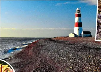  ?? ?? CHEERY: Burnham-onCrouch, top and above. Left: The lighthouse at Orford. Inset: A dish at Brancaster’s White Horse