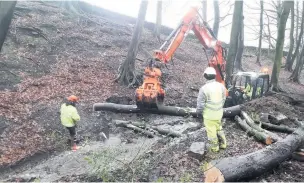  ??  ?? Buckden Wood is the focus of a significan­t new project to reduce flooding in the River Irwell catchment area