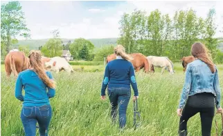  ?? CONTRIBUTE­D ?? Rohan Wood Stables in Aylesford is collaborat­ing with the Free Spirit Therapeuti­c Riding Associatio­n and Clannad Counsellin­g and Consulting on a government funded program for women veterans.