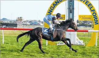  ??  ?? Red ‘N’ Surf and jockey Johnathan Parkes are clear of their rivals as they cross the line for a dominant win in a 2050m maiden race at Wanganui last week. The Redwood 4-year-old will step up to 2500m at today’s Hawke’s Bay meeting.