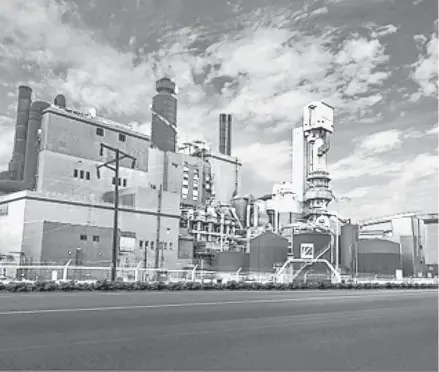  ?? CONTRIBUTE­D ?? Northern Pulp's new plans call for a more environmen­tal plan as well as a more aesthetic look.