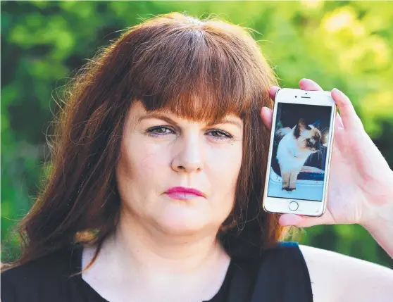 ?? ANGRY: Louise Marry of Hermit Park holds a photo of her cat Bella who was hit by a car then thrown in the dump by council staff. Picture: ZAK SIMMONDS ??