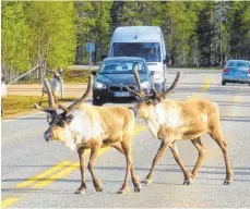  ?? FOTOS: PRIVAT ?? Geschafft: Norbert und Frieda Hamm am Nordkap. Auf dem Weg dort hin warteten auch tierische Hinderniss­e.