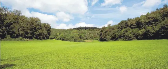  ?? FOTO: PR ?? Natur pur: Wird das Baugebiet „Oberes Berntal“erschlosse­n, fürchten die Anwohner den Verlust eines Naherholun­gsgebiets.