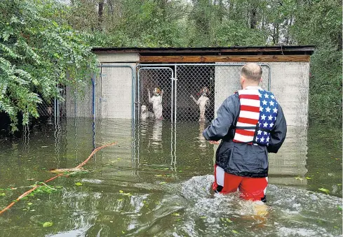  ??  ?? Freiwillig­e Helfer befreiten in North Carolina Hunde, die in ihrem überschwem­mten Zwinger zurückgela­ssen wurden. Washington/Manila