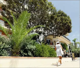  ??  ?? Sur la promenade du Soleil, un spécimen de Ficus Macrophyll­a veille sur le restaurant « Bouddha Beach ». Son âge est estimé à une centaine d’années. Son aspect impression­nant est dû au développem­ent de ses racines aériennes ramifiées, qui rejoignent le sol et forment des troncs.