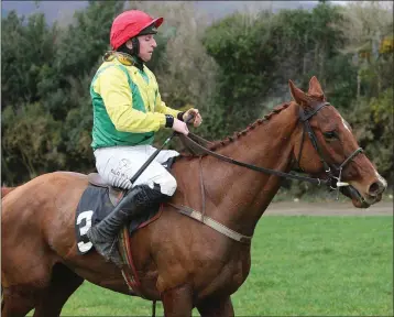  ??  ?? Jamie Codd, on board ‘Complete Sizing’ at the recent point-to-point in Tinahely, enjoyed a double victory in Fairyhouse on Sunday.