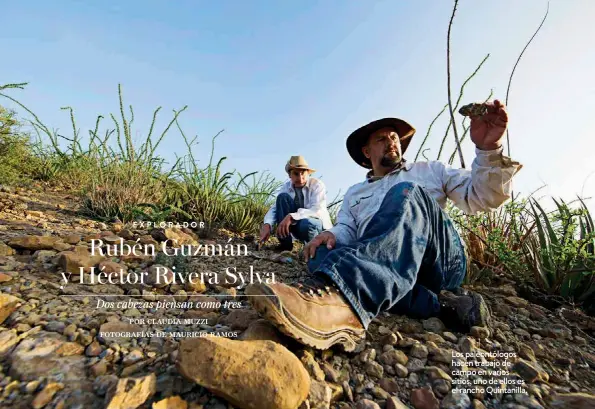  ??  ?? Los paleontólo­gos hacen trabajo de campo en varios sitios, uno de ellos es el rancho Quintanill­a.