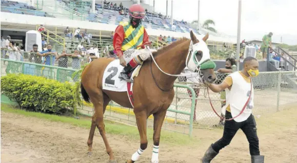  ?? (Photo: Observer file) ?? Toona Ciliata races for the first time in 2021.