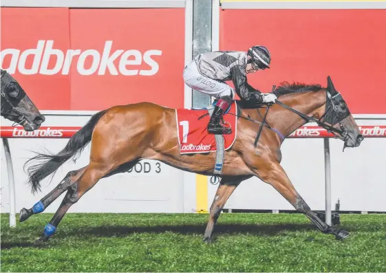  ?? Picture: GETTY IMAGES ?? Houtzen, ridden by Jeff Lloyd at Moonee Valley, has been set for the $!m UBET Classic.