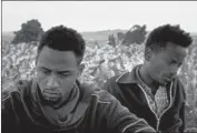  ?? Janus Films ?? “FAYA DAYI” intimately explores Ethiopia, its people and the powerful narcotic leaf known as khat.