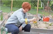  ?? MASTER GARDENERS OF SOUTHEASTE­RN WISCONSIN ?? Sitting for some gardening tasks can give your back and knees a break. Specially designed tools like this one can eliminate strain on certain muscles.
