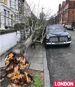  ??  ?? LONDON Near miss: A classic car got off lightly in Finsbury Park