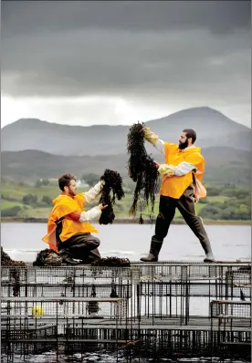  ?? ?? Climavore: On Tidal Zones, an arts project on Skye, is the brainchild of Alon Schwabe and Daniel Fernandez Pascual, together known as Cooking Sections