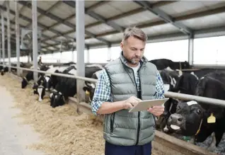  ??  ?? Toma tus decisiones de inversión en tecnología siempre analizando cuánto valor aporta realmente. O dicho de otro modo, si la oportunida­d es mayor que el coste en tiempo y dinero invertidos.