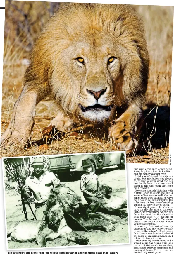  ??  ?? Big cat shoot-out: Eight-year-old Wilbur with his father and the three dead man-eaters