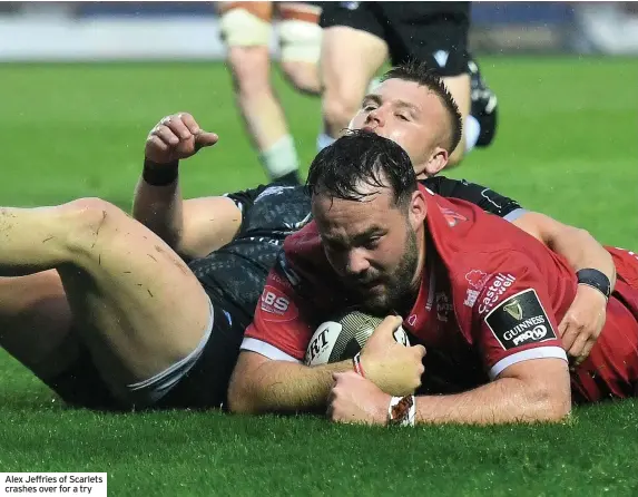  ??  ?? Alex Jeffries of Scarlets crashes over for a try