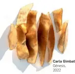  ?? ?? Carla Gimbatti
Génesis, 2022