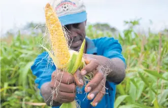  ??  ?? Estados Unidos pidió a la UE volver a evaluar su enfoque para aprobar productos e insumos.