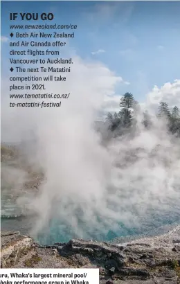  ??  ?? An intricatel­y carved mask; Parekohuru, Whaka’s largest mineral pool/ hot spring; a carved land pole; a kapa haka performanc­e group in Whaka