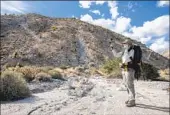  ?? ?? Janene Colby, a state environmen­tal scientist, uses a receiver to try to locate collared Peninsular bighorn sheep in Anza-borrego Desert State Park on Dec. 19.