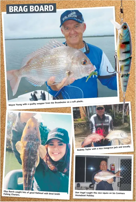  ??  ?? Wayne Young with a quality snapper Olya Borch caught lots Fishing Charters. from the of good flathead with Broadwater on a soft Brad Smith plastic. Rodney Taylor with a nice mangrove jack and trevally. Don Vogal caught this nice squire on his Coomera Houseboat Holiday.