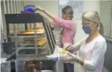  ?? STAFF PHOTO BY TROY STOLT ?? Servers Shelba Ford and Lauren Gaddis grab food for their tables at Home Folks Family Restaurant on Wednesday in Soddy-Daisy.